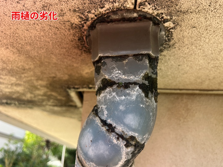市川市南八幡で雨樋交換の現地調査、雨樋の継ぎ目破損と漏水で軒天に黒ずみが広がっていました