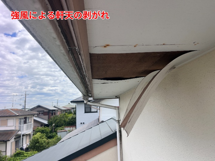 剥がれた軒天の現地調査