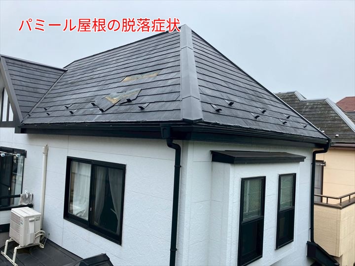 パミールの脱落症状