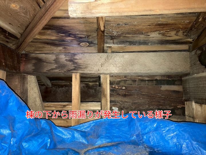 隅棟の下側に雨染み