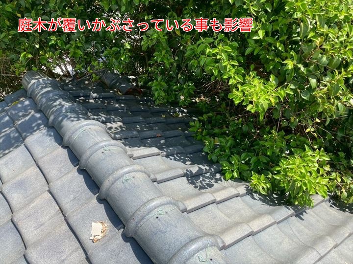 棟の周囲に繁った植栽による影響