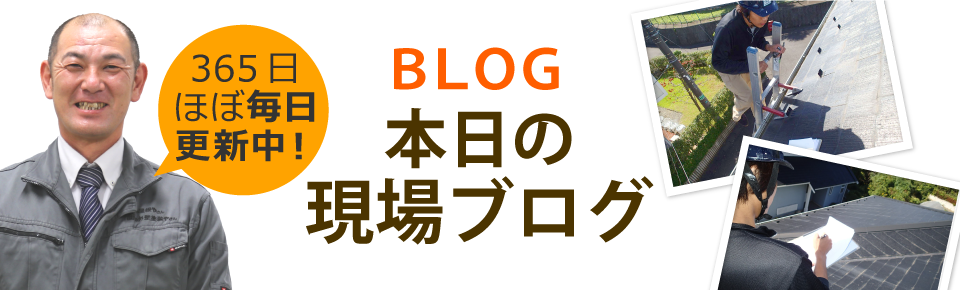 千葉エリア、その他地域のブログ