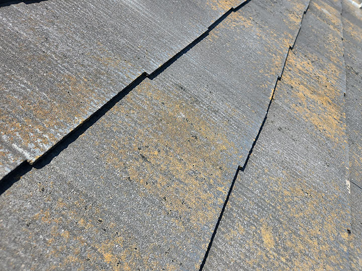 苔や藻の対策には塗装が重要