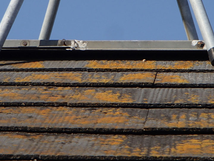 棟板金の浮き