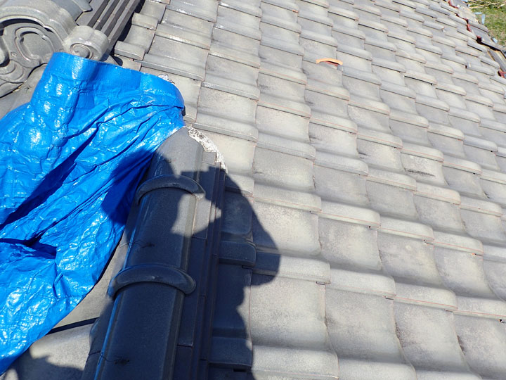 被害箇所を点検