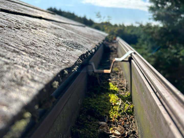 汚れが堆積しつつある雨樋