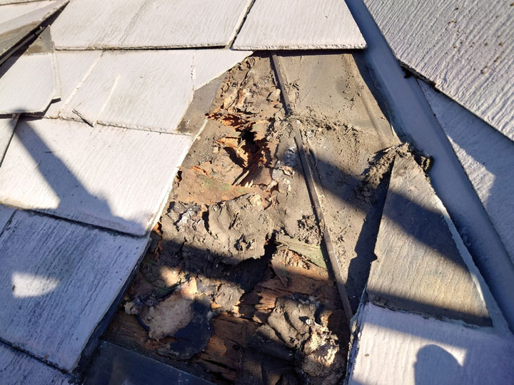 野地板が傷んでいるケース