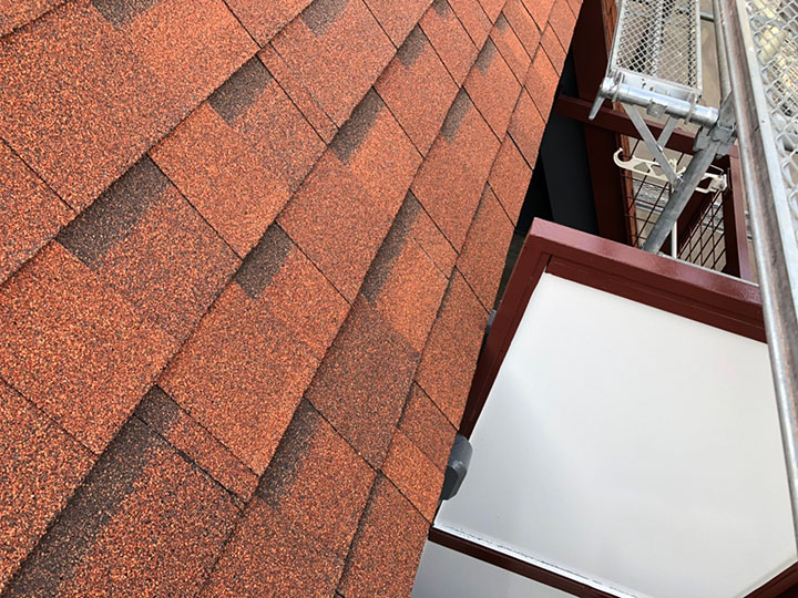 デザインが特徴的