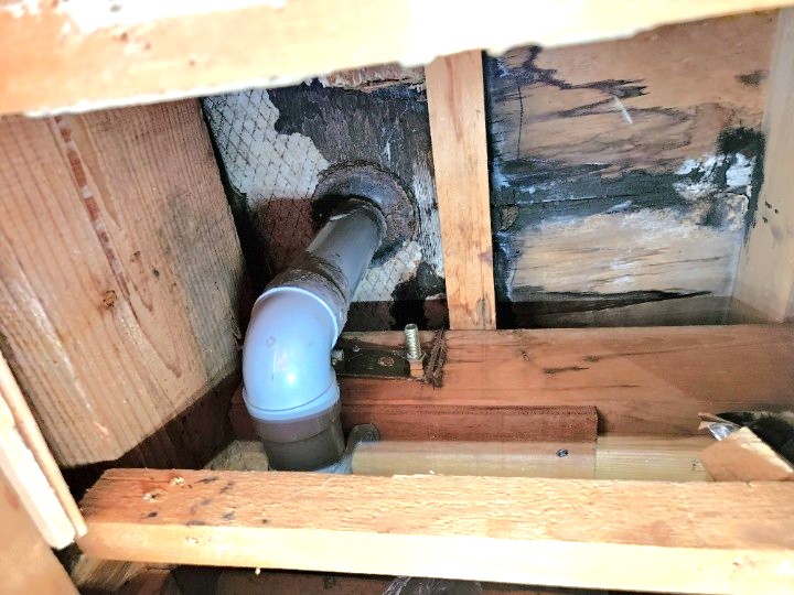 天井開口部から確認できた排水ドレンまわりの浸入跡