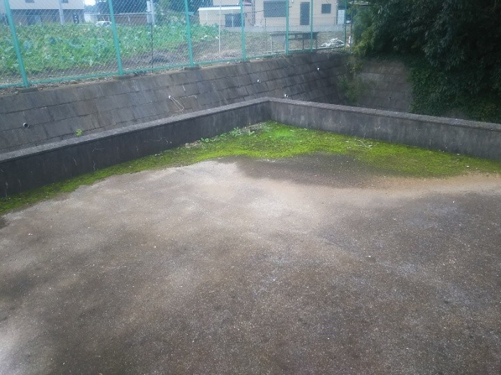 調査写真1：平場全体の苔発生状況