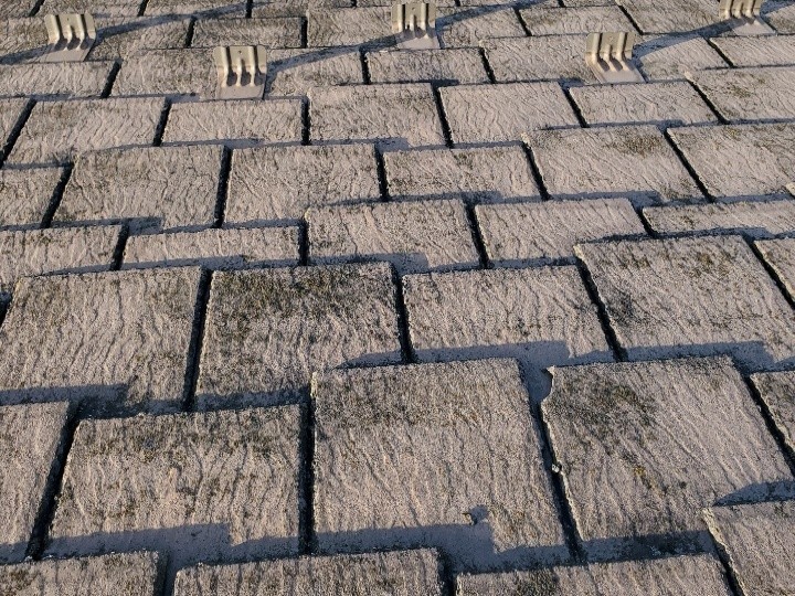 コケの繁殖と防水性の低下