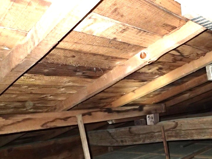 小屋裏の木部に見られる黒ずみとカビの発生