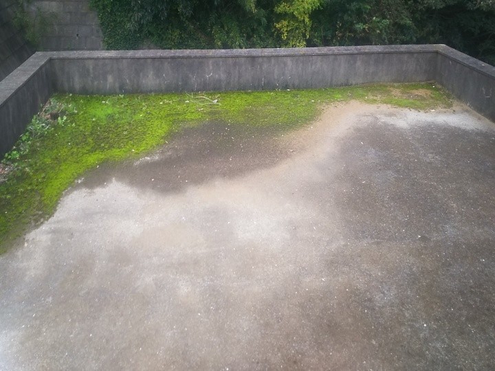 浄化槽施設の苔やひび割れが散見した陸屋根