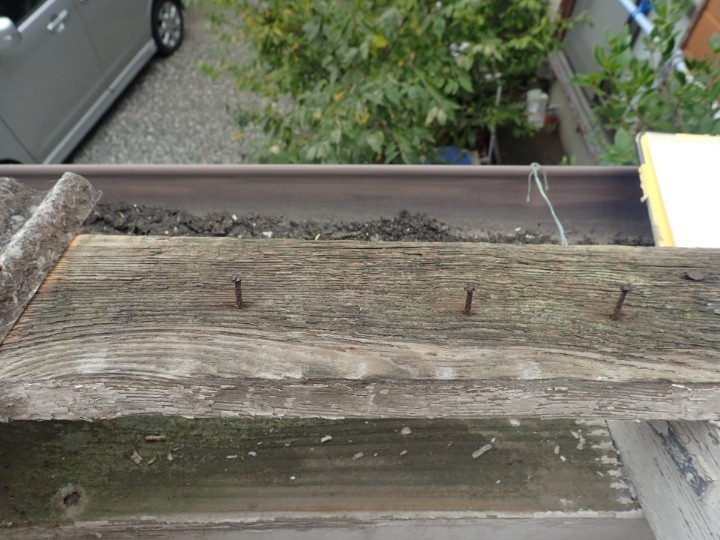 桟木の腐食と釘の浮き