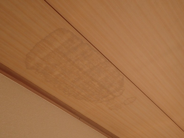 室内天井に広がった雨染み