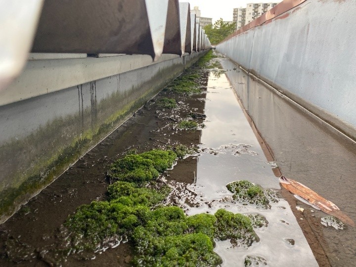 雨漏りする排水溝