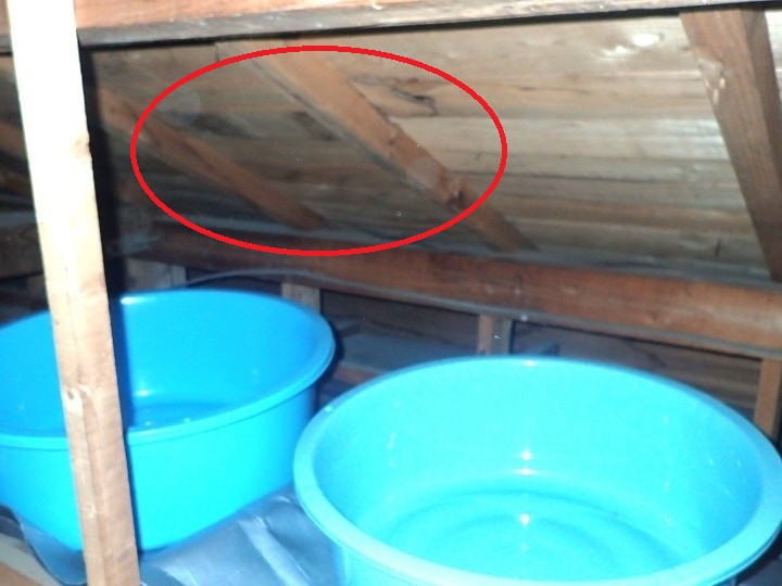 屋根裏の雨染みの確認
