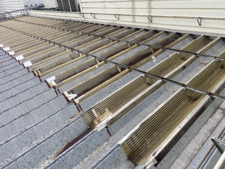 折板屋根の明り取り周辺を確認