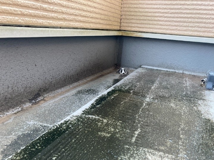 立ち上がり際の汚れと排水まわりの状態