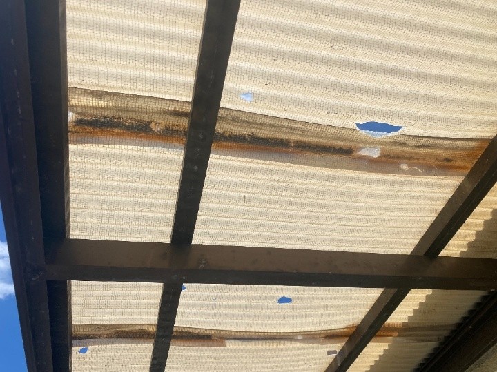 波板に開いた雹被害の穴