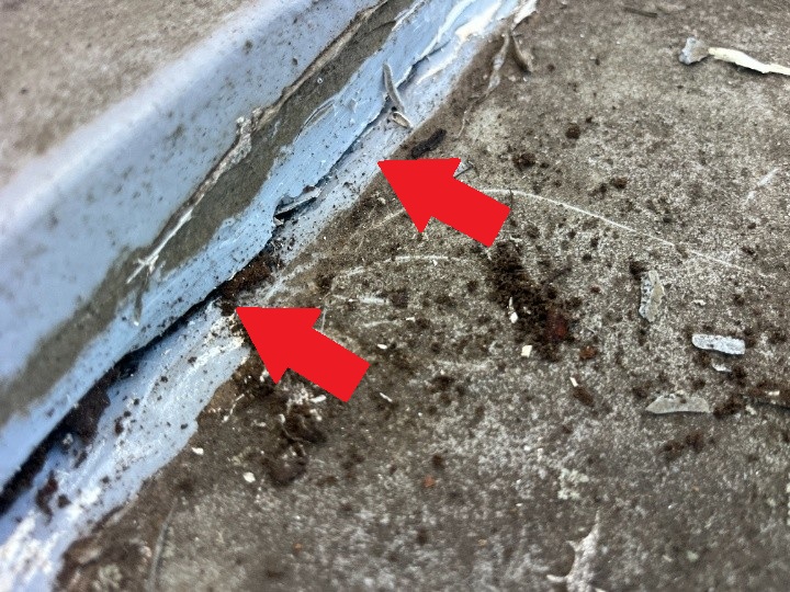 縁切り後の排水溝部分を状態確認