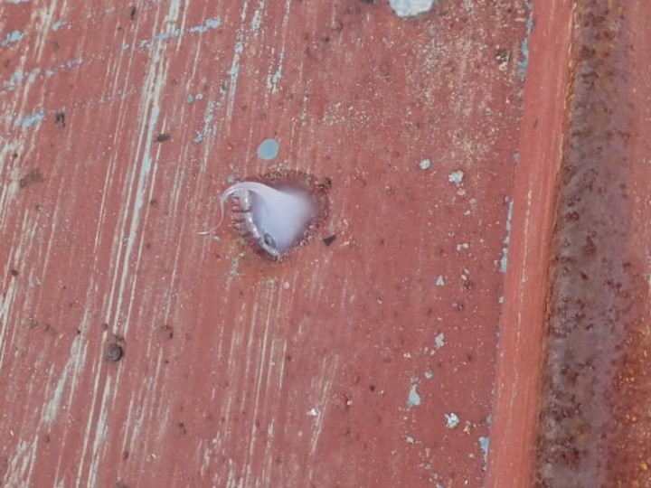 雨漏り箇所のコーキング処理