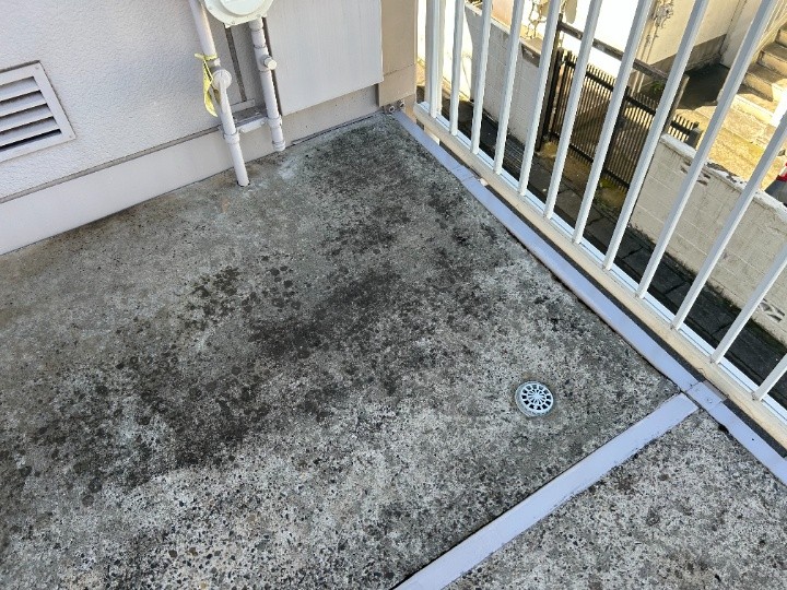 共用通路の表面に苔汚れが発生