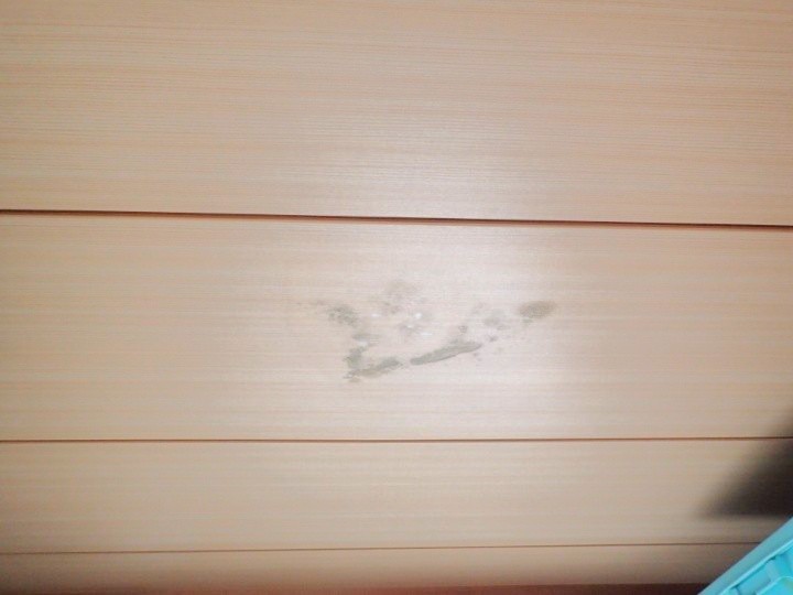 室内天井の染み