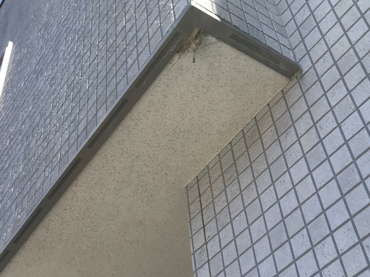 玄関上部の軒天全体を確認