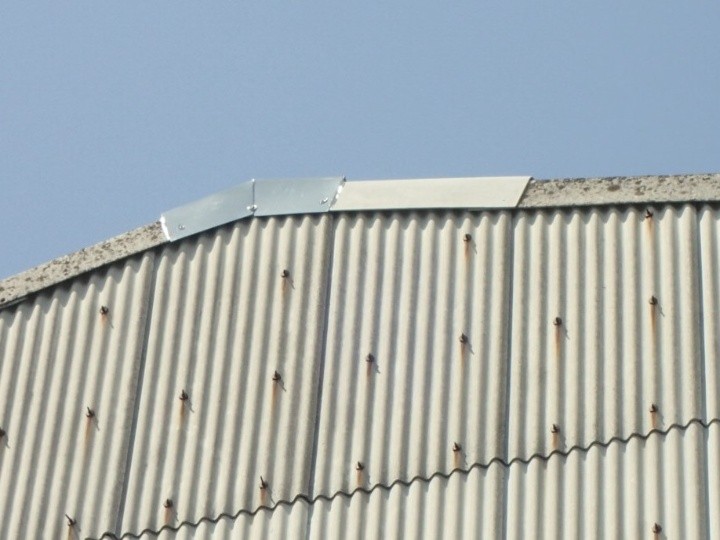 ケラバ破損した大波スレート屋根へ板金による部分補修工事を行い雨仕舞い