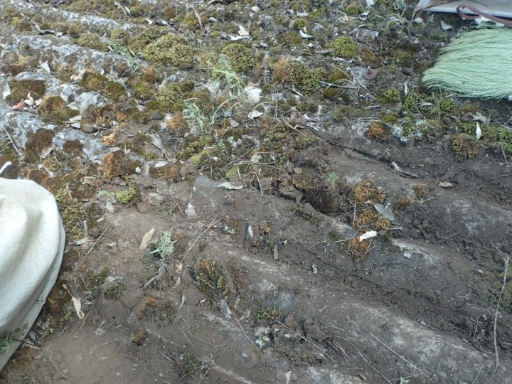 谷部に土が堆積し、水の通り道を塞いでいる状況