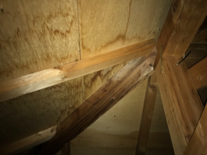 小屋裏の合板に残る雨染み