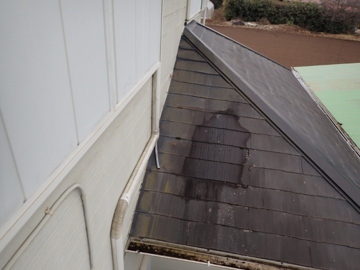 落下した雨水による屋根の染み跡