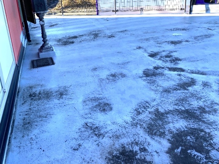 床面全体に色あせと苔の付着が見られる状態