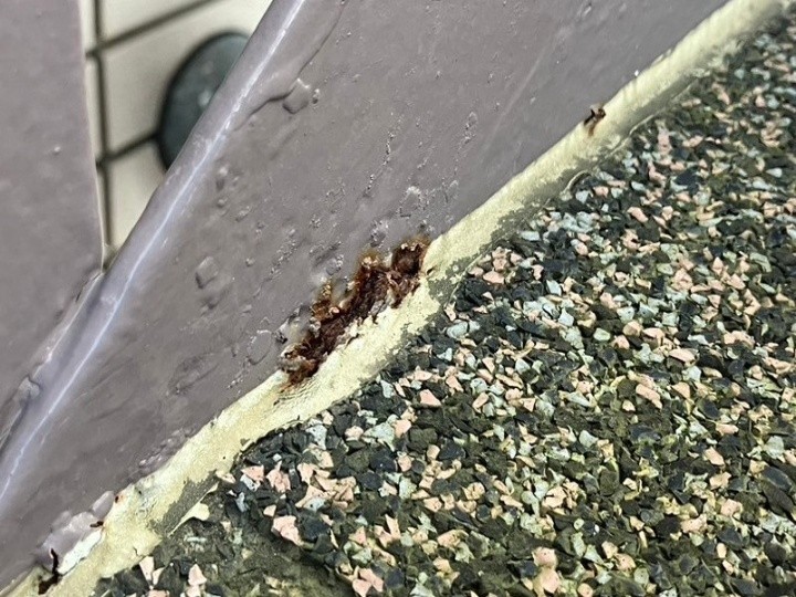 防滑シートとささらの取り合いで進む局所腐食
