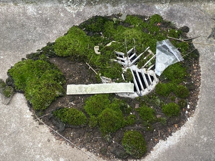 ドレンまわりの苔とゴミ詰まり