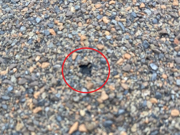 剥離が進んだ一点の損傷を確認