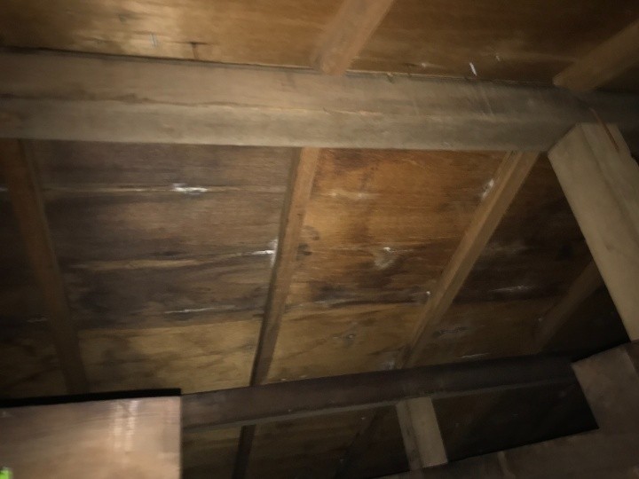 小屋裏側に見られる雨水の影響