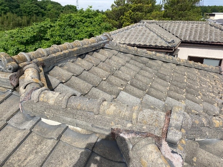 苔が繁殖した瓦屋根