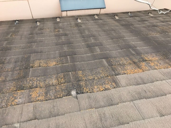 スレート屋根の苔・色褪せから防水性低下を判断