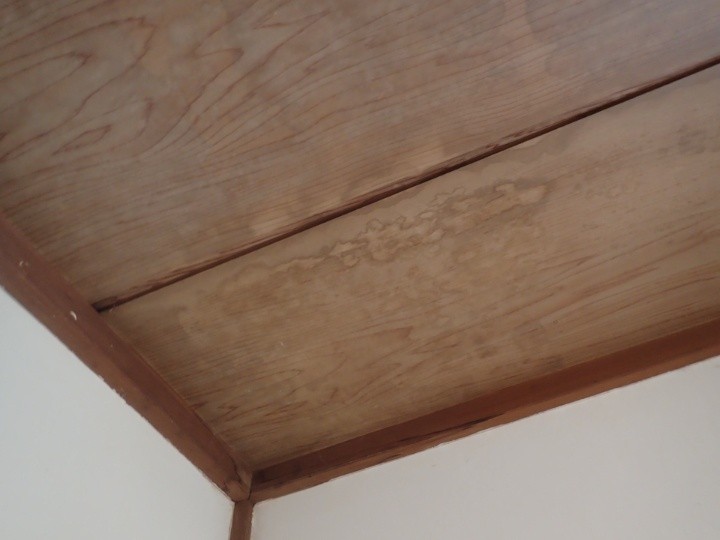 室内天井の雨染み