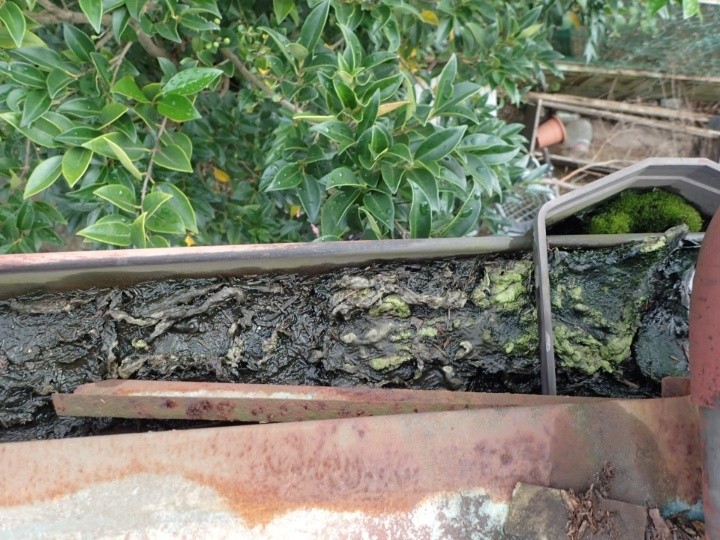 雨樋内部の詰まり