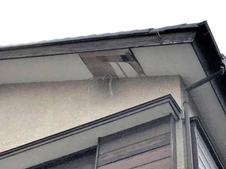 軒天の剥がれと開口の確認
