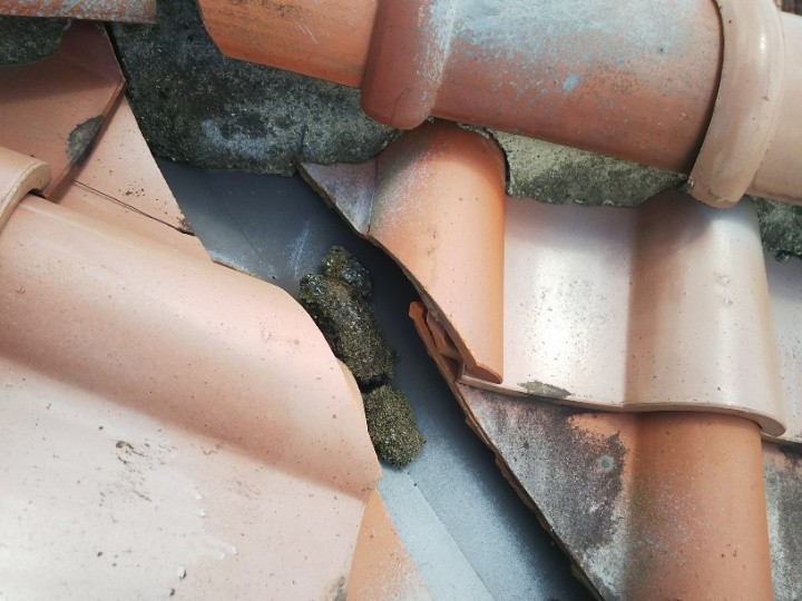 谷部へのモルタル落下と瓦のズレ