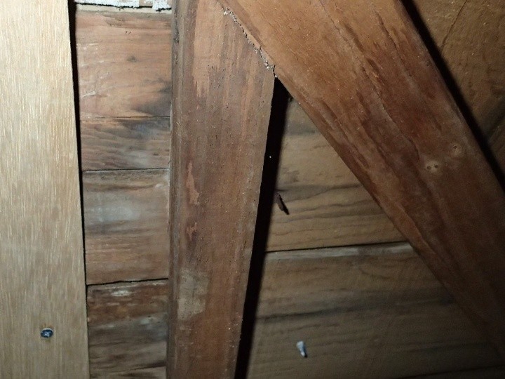 小屋裏側の木部に見られる雨水の影響