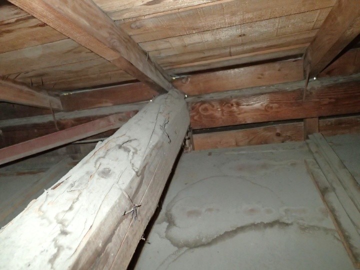 小屋裏で確認した雨染みの痕跡