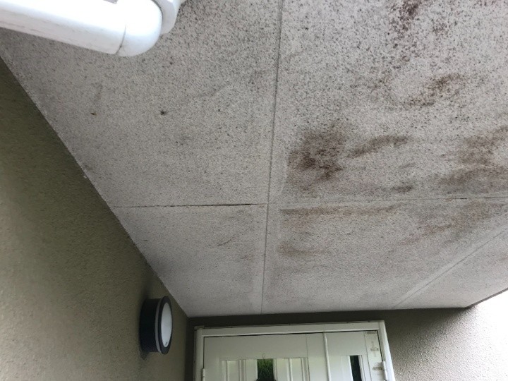 軒天に広がる水染みの発生状況