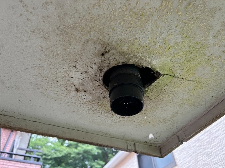 軒天貫通部の破損と劣化