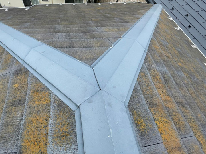 屋根のコケはなぜ発生する？原因と対策、塗装メンテナンスの注意点を解説