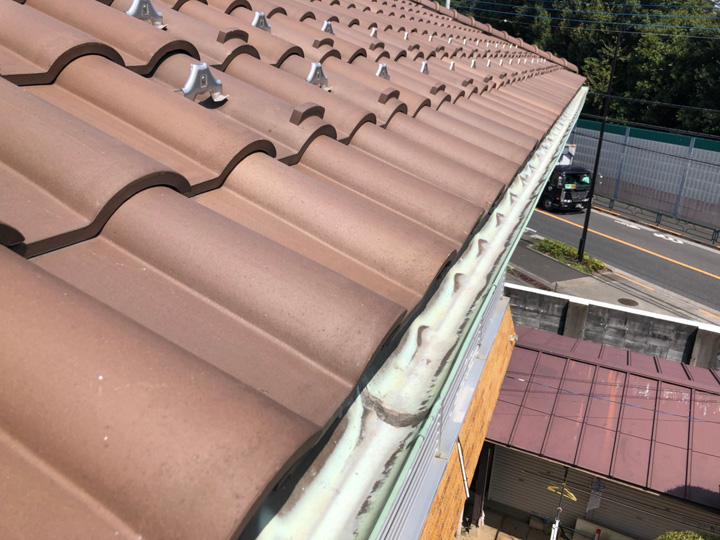 雨樋の点検作業